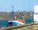 Trawler im Hafen