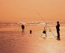 Angler ams Strand