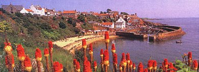 Hafen von Crail - East Neuk